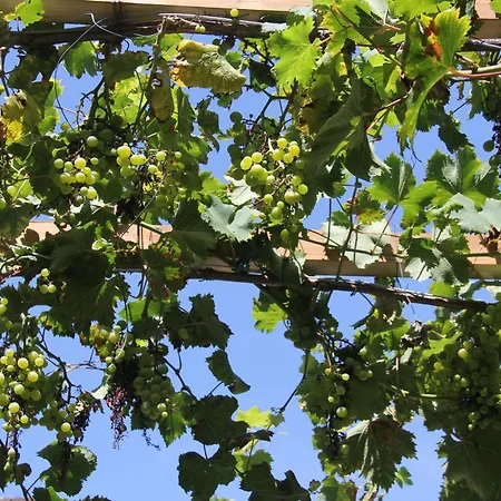 Le Tranquille Serenite * Terrasson