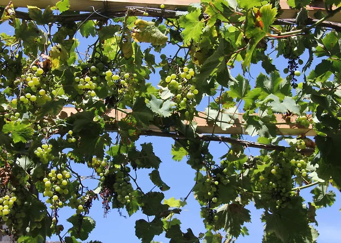 Le Tranquille Serenite * Terrasson